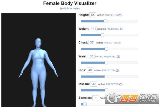 bodyvisualizer,模型.